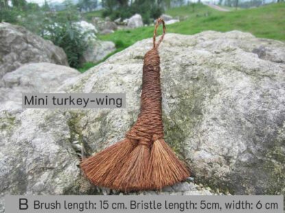 B-Mini-turkey-wing