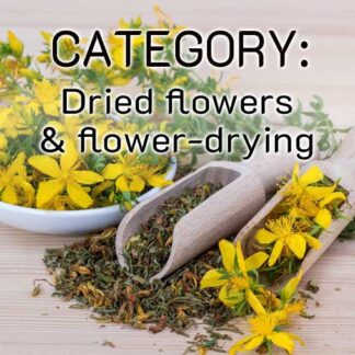 Dried flowers & flower-drying