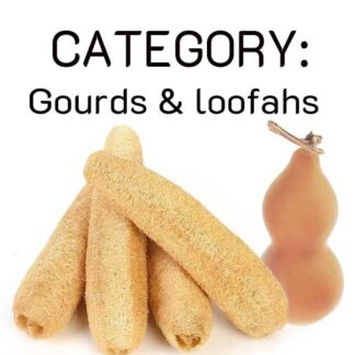 gourds & loofahs