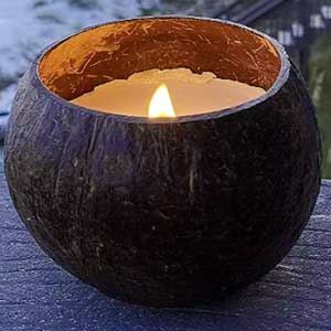 Craftsteading Scented Soy Wax Candles in Coconut Shells